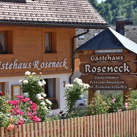 Apartment Gaestehaus Roseneck Todtmoos