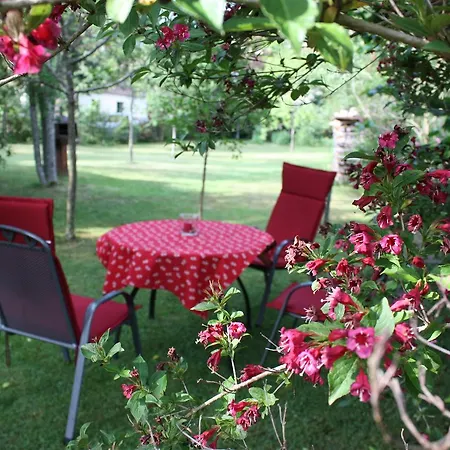 Gaestehaus Roseneck Apartamento