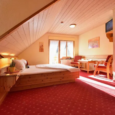 Apartment Gaestehaus Roseneck Todtmoos